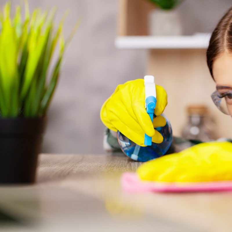 Cleaning company worker cares for a plant.